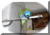 parrot7.jpg (133719 �ֽ�)